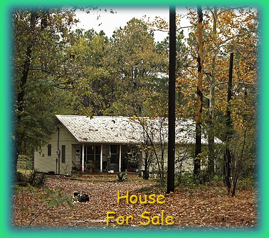 House4sale.jpg - 159544 Bytes