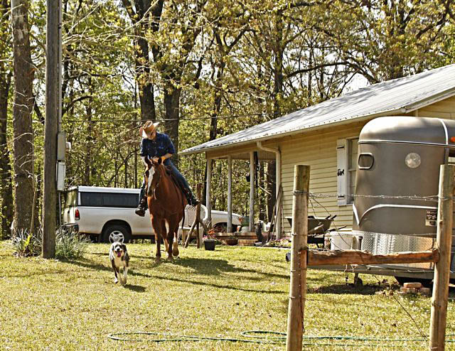 leavingfrontyardforridedoginlead.jpg