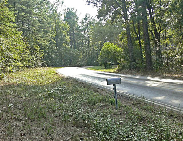 scenicroadinfrontofhouse.jpg